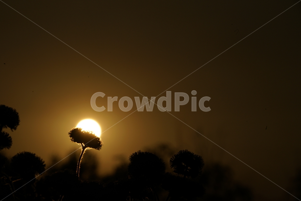 flare,플레어,light,nature,자연,outdoors,옥외
