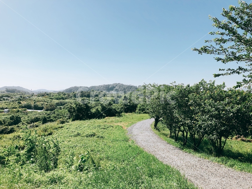 초원,돌길,하늘,나무,꼬부랑길,자연,풍경,nature,landscape,dirt road,흙길,road,도로,gravel,자갈