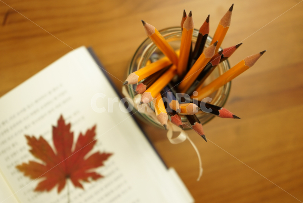 가을,독서,낙엽,연필,여유로움,행복,fall,season,공부,가을,계절,fall,autumn,season,학용품,문구류,사무용품,school supplies,stationery,office supplies