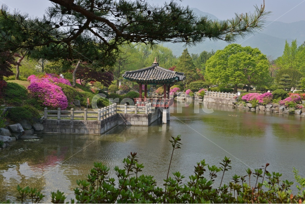 충남,대전,현충원,국립현충원,현충지,pond,못,garden,정원,연못,반영,현충지봄,철쭉,철쭉꽃,봄,계절,경치,경관,풍경,outdoors,옥외,nature,자연,water,물,plant,식물,tree,나무,정자,쉼터