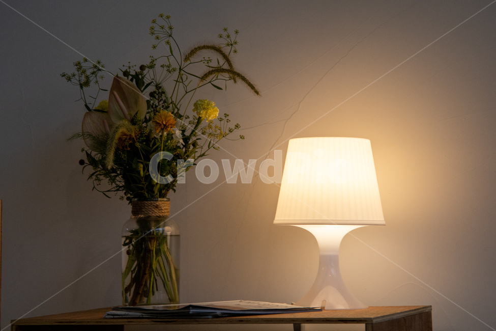 전구,램프,식물,화분,화초,분위기,장식,인테리어,인테리어,실내디자인,interior design