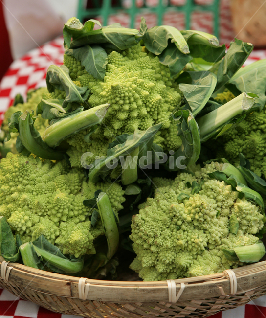 로마네스코,브로콜리,초록,채소,romanesco,broccoli,바구니,vegetable,야채,음식,초록채소,건강