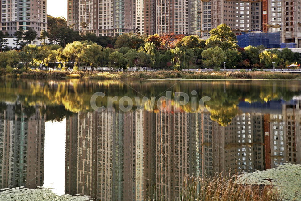 광교호수공원,영통,수원,공원,아파트,원천저수지,반영,도시,풍경,city,landscape,한국도시풍경,한국도시경관,korea cityscape