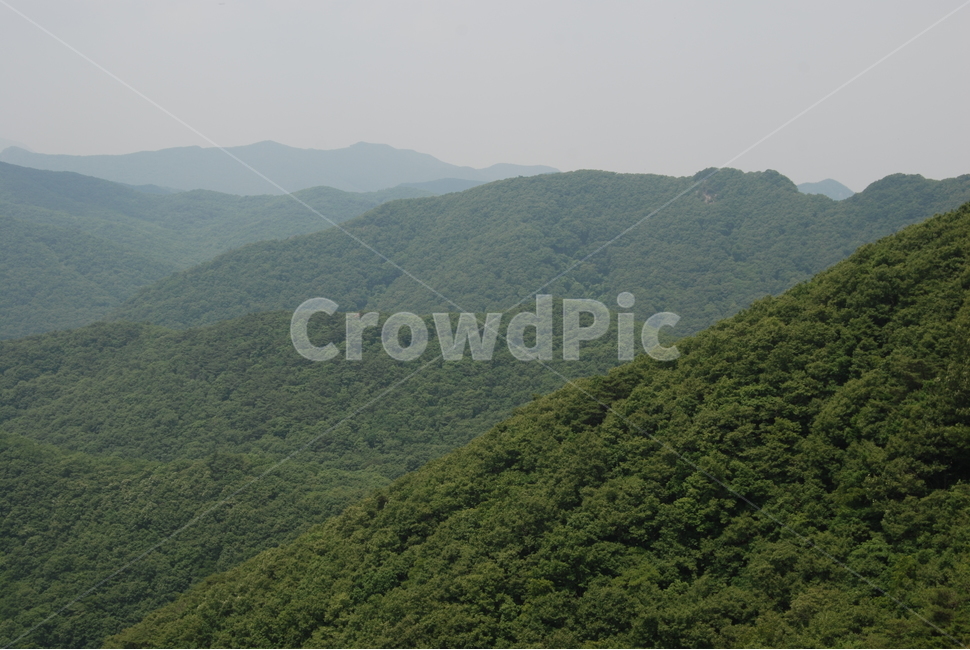 신선봉,내장산,봄,휴양림,자연,자연,풍경,nature,landscape,outdoors,옥외,hill,언덕