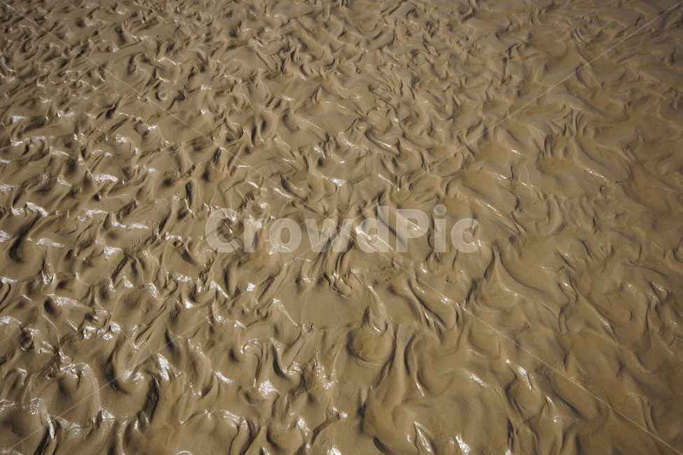물결,뻘,자연,진흙,패턴,해변,바다,beach,sea