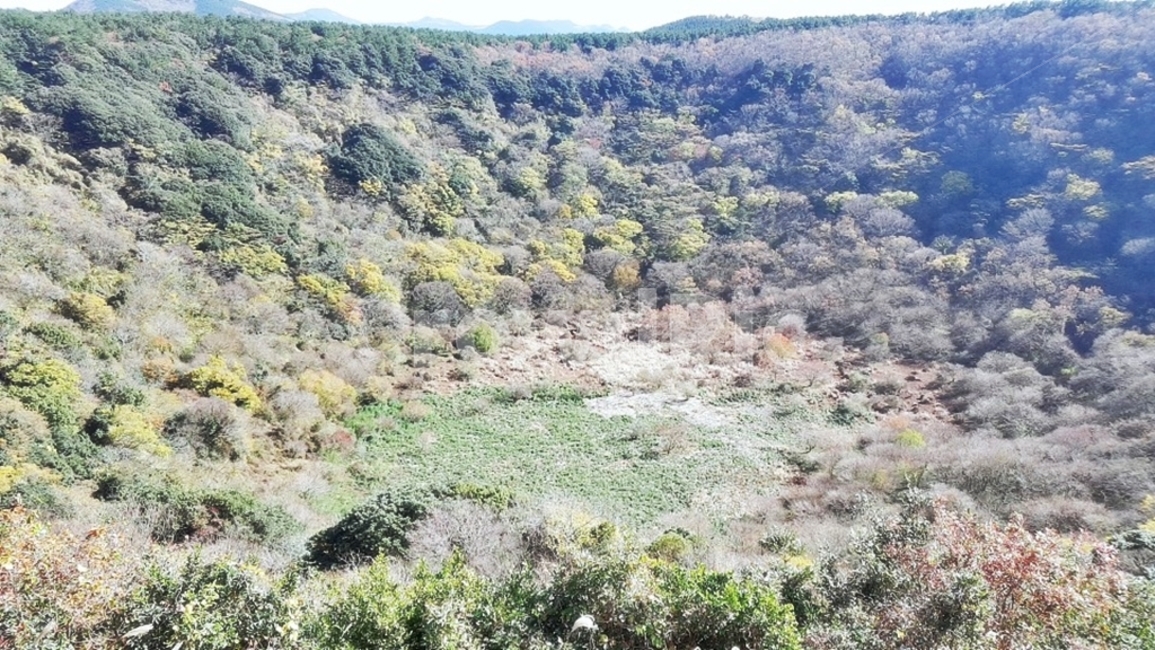제주도산굼부리,산굼부리,배경화면,가을하늘,가을풍경