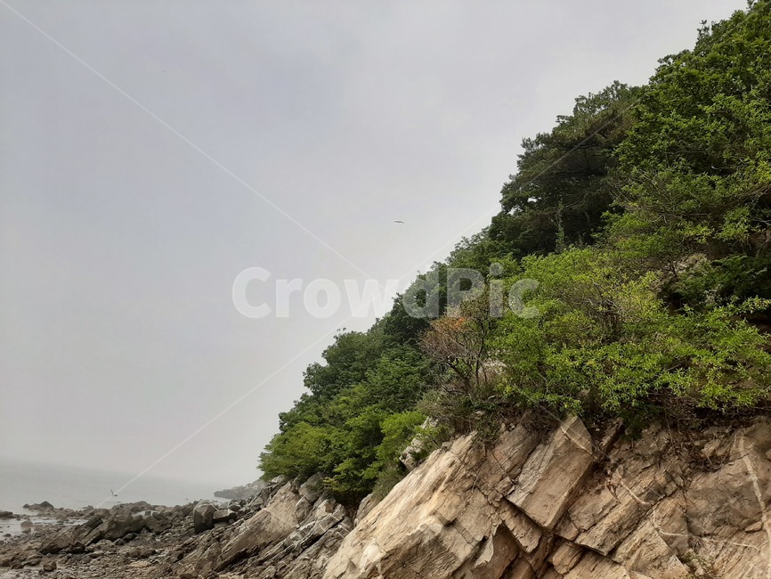 낭떠러지,nature,자연,옥외,outdoors,바닷가,해안가,암석