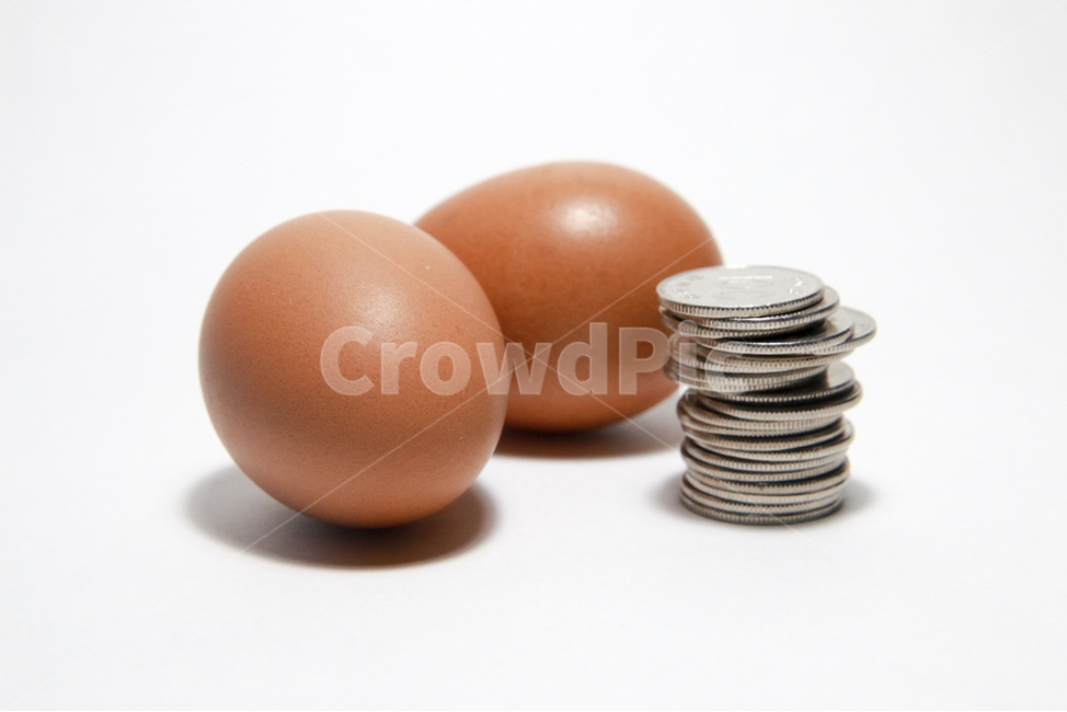 동전,컨셉사진,계란,달걀,가격,경제,닭,계란값,컨셉,물가,돈,머니,음식,식재료,요리,food,cook,meal,dishes,food reserves,금융,돈,finance,banking,money,사물,물건,오브젝트,thing,object,matter,연출,컨셉,콘셉,direction,concept,누끼,remove background