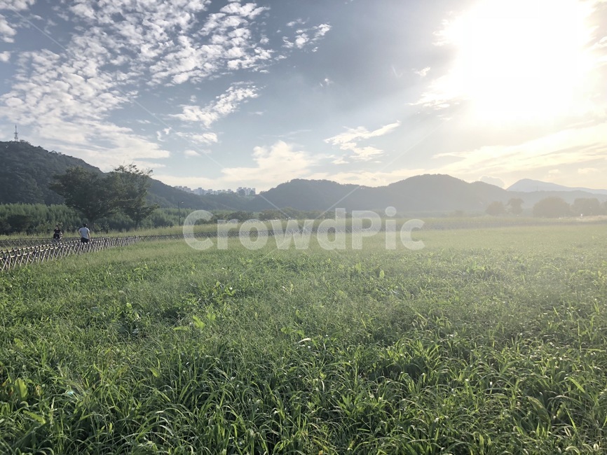 따뜻함,추억,산과풀,구름,자연,nature,grassland,그리움