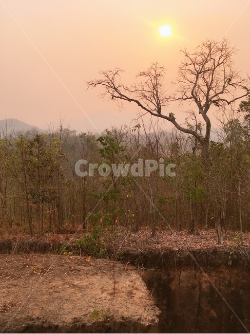 고요,잔잔,풍경,메마른,시골,자연,풍경,nature,landscape,ground,바닥,outdoors,옥외