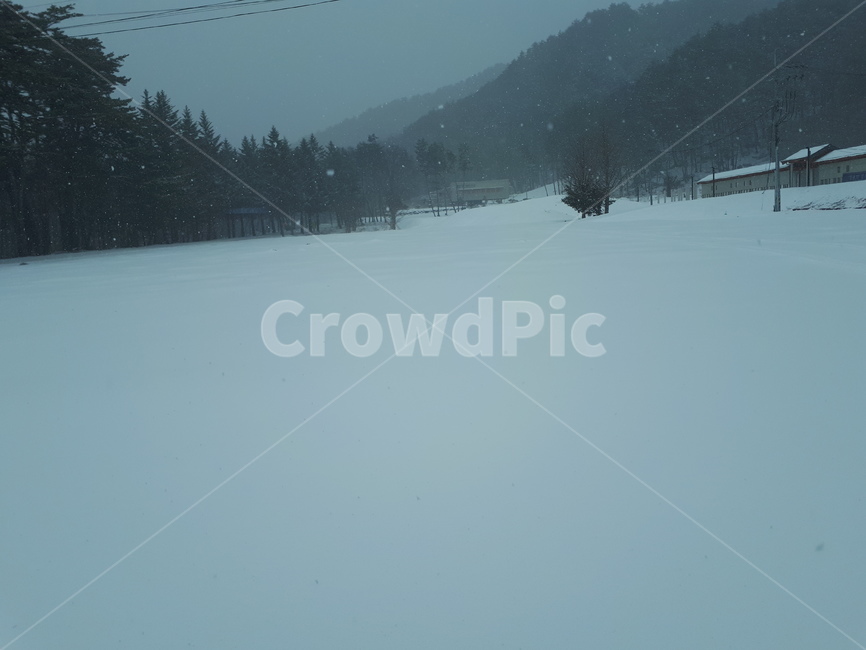 nature,자연,풍경,눈,snow