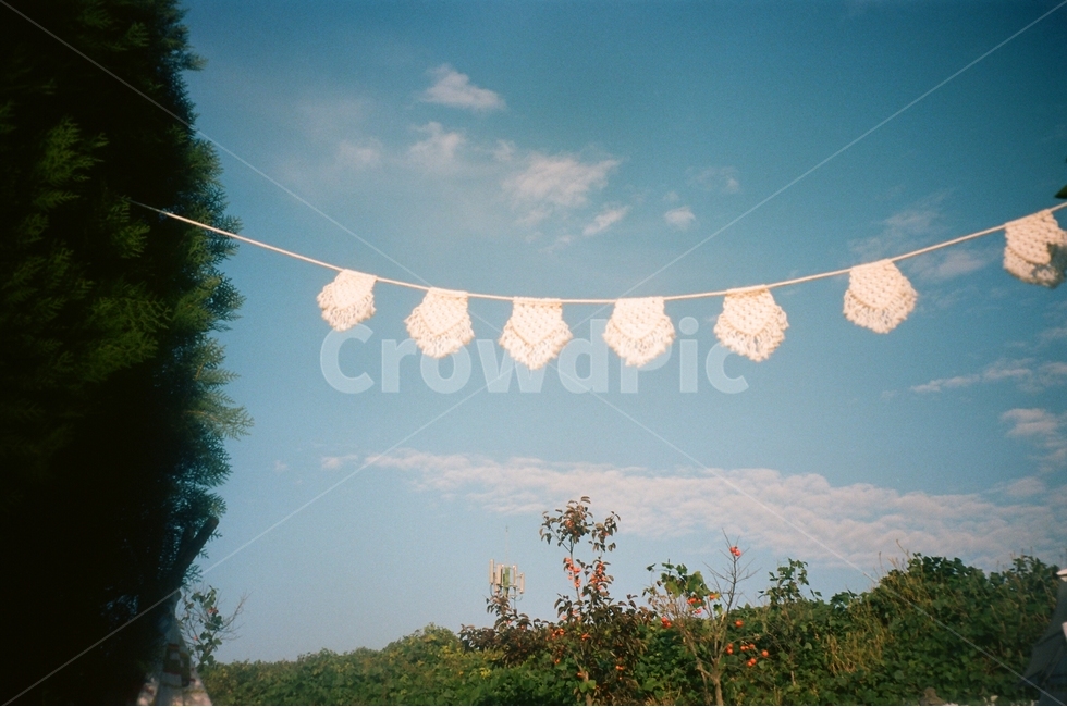 가렌더,나무,하늘,하늘색,구름,자연,풍경,nature,landscape,감성,sensible,feeling