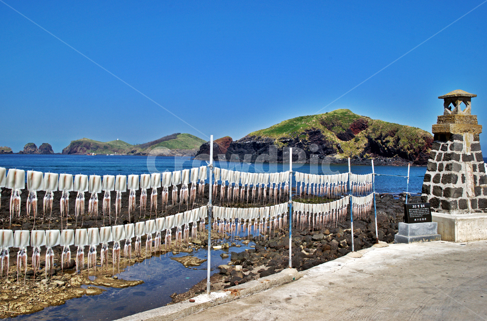 차귀도,제주도,엉알해안,올레길,한경면,바다,고산옛등대,한치,오징어,제주도,jeju,jeju island