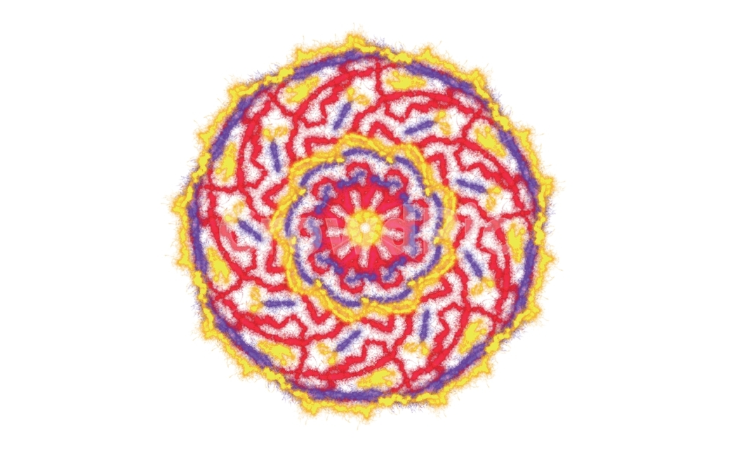 배경,무늬,연속무늬,장식,일러스트,무늬일러스트,장식일러스트,감성,타일,그래픽,일러스트레이션,graphic,illustration
