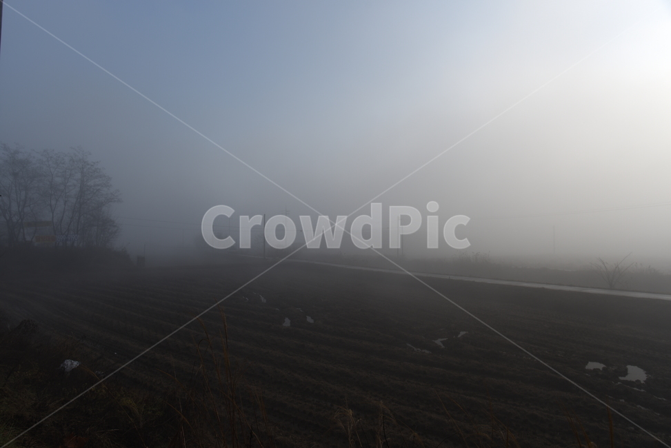 안개,풍경,가을,계절,fog,mist,fall,자연,풍경,nature,landscape