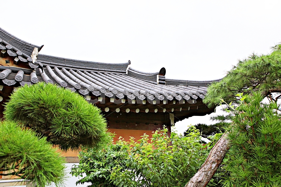 Hanok house,Hanok,nature,plant,sight,tree,tiled house,Dosol Art Museum,house,Art gallery,traditional house