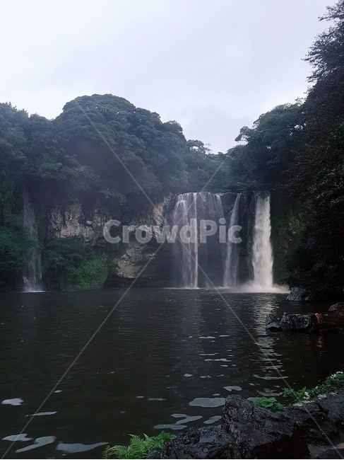 천지연폭포,폭포,waterfall,자연,제주도,물,water,nature,자연,풍경,nature,landscape,river,강,outdoors,옥외