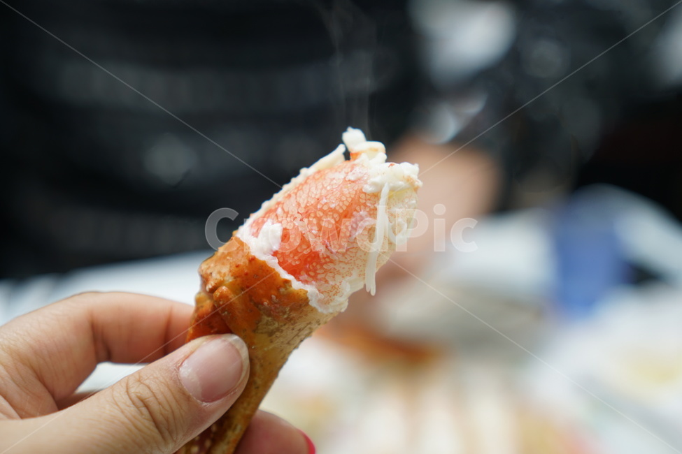 shellfish,nippers,snow crab,crab,food