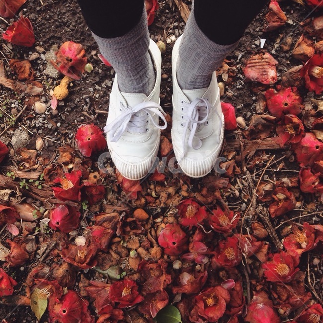 발,신발,동백꽃,꽃,낙엽