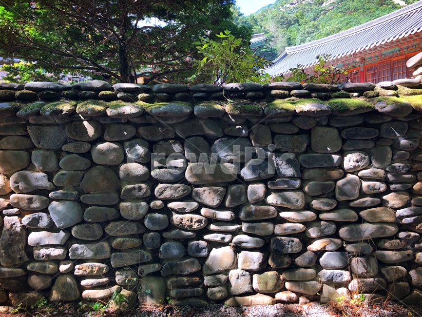돌담,건축,한국,전통,나무,숲,처마,기와,동양,한국건축,건축물,맑음,돌,나뭇가지,풍경,건물,architecture,stone,oriental,동양의,오래된,계룡산,고건축,문화재,역사,한국전통,한국문화,korean traditional,korean culture,건축물,건물외관,exterior,building,structure,architecture,construction