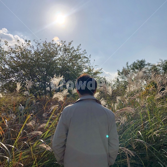 가을,억새,여행,뒷모습,남자,꽃,autumn,fall,인물,mood,필름,하늘,남자뒷모습,햇살,풍경,배경,감성사진,사람,person,패션,트렌치코드,인물실루엣,억세축제,쓸쓸,색감,색체,자연,나무,사람,인물,인간,human,person,남성,남자,man,male