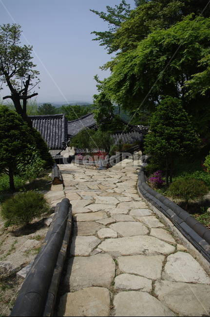 부석사,건축,전통건축,traditional,전통,기와지붕,담장,초록,나무,잎,식물,plant,한국전통,한국문화,korean traditional,korean culture