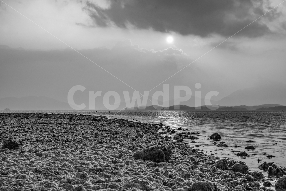 바다,풍경,하늘,흐림,저녁,노을,해초,썰물,자연,풍경,nature,landscape,해변,바다,beach,sea,흑백,모노톤,monochrome,black and white,ground,바닥