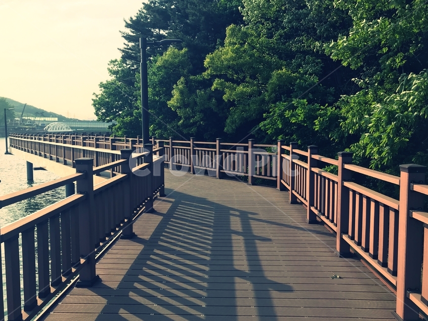 다리,나무,나무다리,호수,호숫가,길,백운호수,lake,nature,landscape,fence,green,water,tree,park,path,architecture,wooden,trees,forest,mountain,grass,풀,공원,데크,펜스