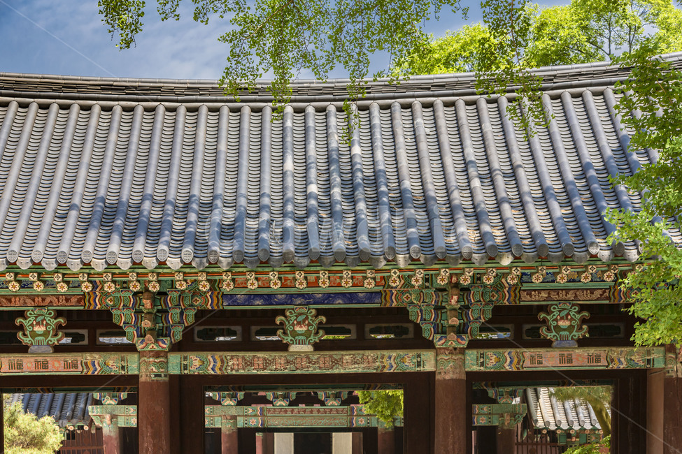 한옥마을,경기전,문화유적,문화재,기와,전통건축물,고건축,랜드마크,관광지,한국전통,한국문화,korean traditional,korean culture,건축물,건물외관,exterior,building,structure,architecture,construction