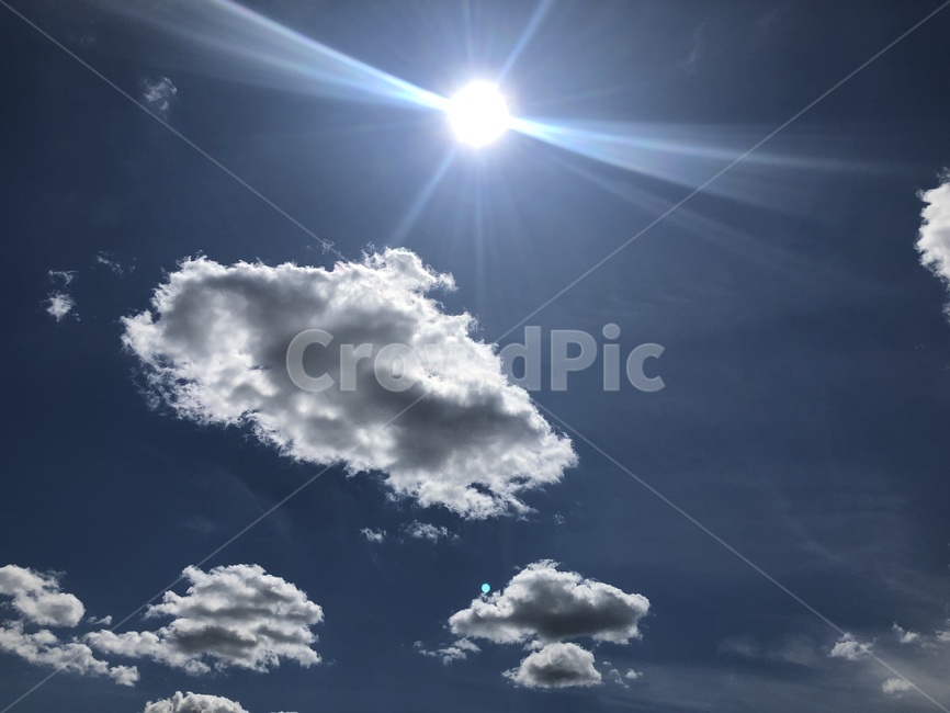 하늘,뉴욕,센트럴파크,태양,sun,플레어,light,nature,구름