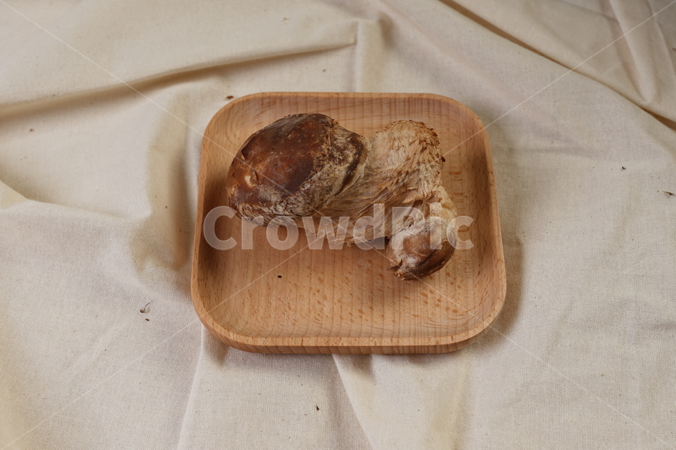 food,음식,요리,재료,송화,버섯,버섯,mushroom,음식,식재료,요리,food,cook,meal,dishes,food reserves