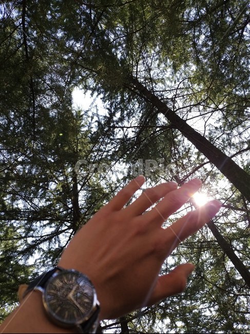 light,빛,flare,플레어,사람,인간,나무