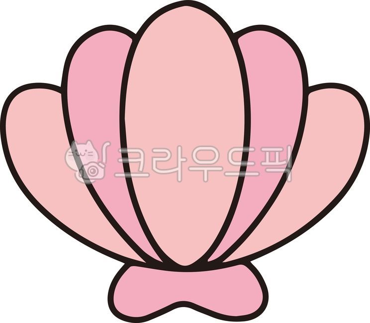 조개,핑크조개,인어공주,바다,여름