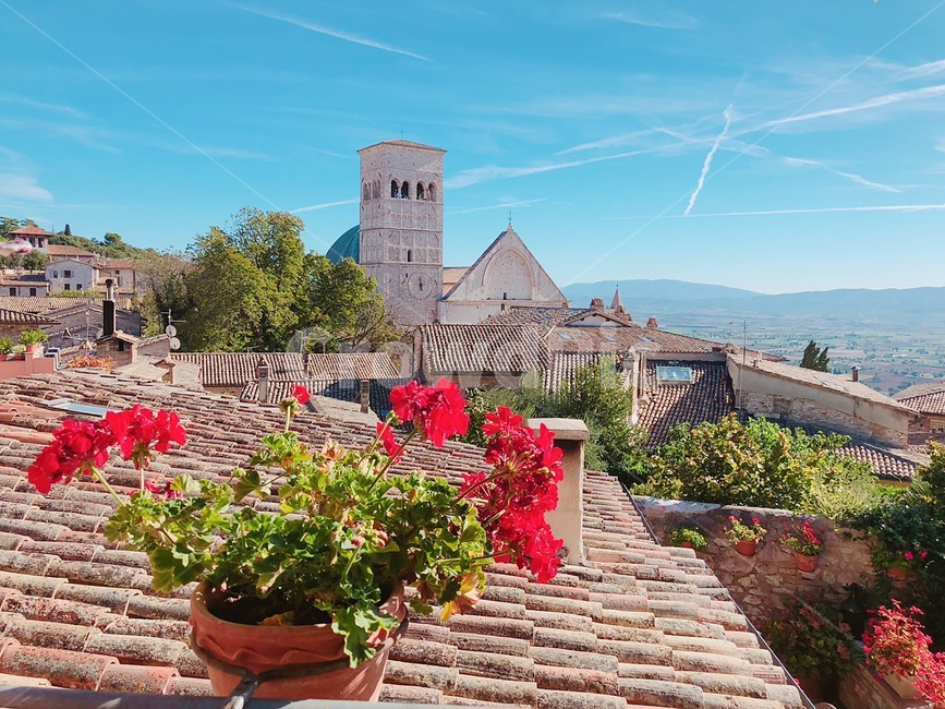 이탈리아,아시시,마을,풍경,하늘,유럽,italy,assisi,town,landscape,europe,해외도시풍경,외국도시풍경,외국,worldcityscape,화분,지붕,루프탑