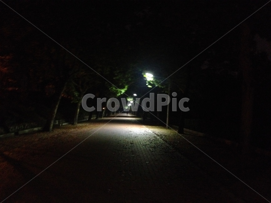 아스팔트,빛,light,asphalt,조명,야외,야경,가로등