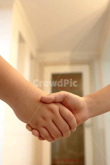 악수,형과동생,손가락,핸드,체결,화해,동맹,신체일부,몸,body,손,제스처,표시,손짓,표현,gesture,hand,sign,expression,감정표현,기분,feeling,emotion