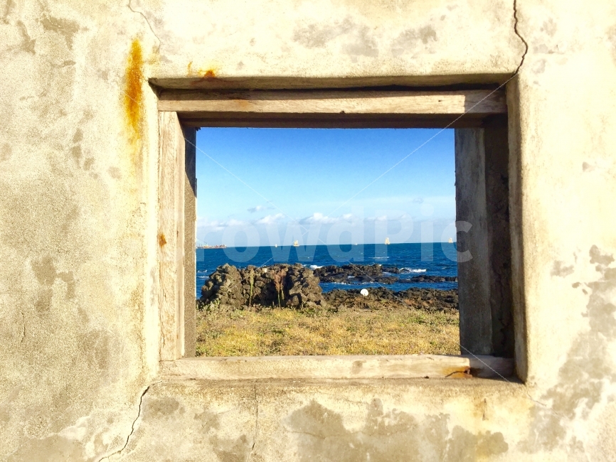 바다,제주,바람,햇살,액자,봄,제주도,jeju,jeju island,window,창문
