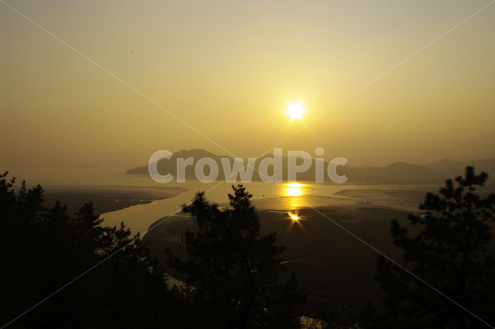 순천만,일몰,석양,노을,풍경,나무,자연,풍경,nature,landscape,한국자연풍경,한국자연경관,korea nature landscape,light,빛,flare,플레어,sunlight,햇빛,outdoors,옥외