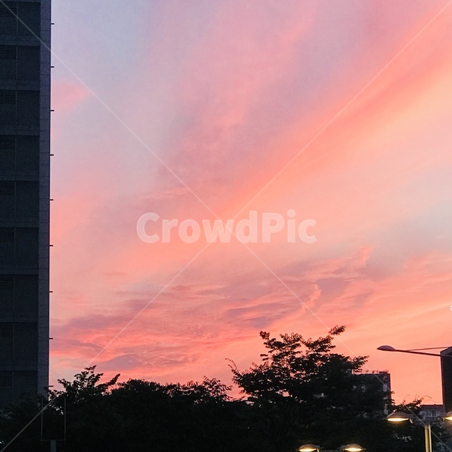 건물,하늘,노을,감성,분위기,선셋,sky,sunset,핑크