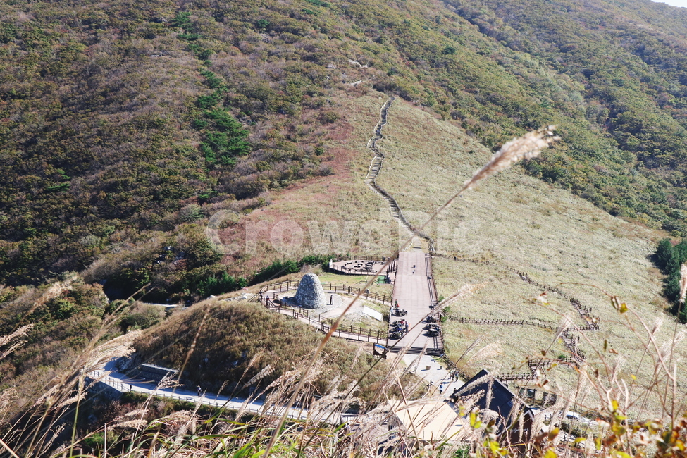 신불산,갈대,억새,갈대밭,억새밭,영남알프스,식물,가을,계절,fall,autumn,season,자연,풍경,nature,landscape,경치,outdoors,옥외,scenery