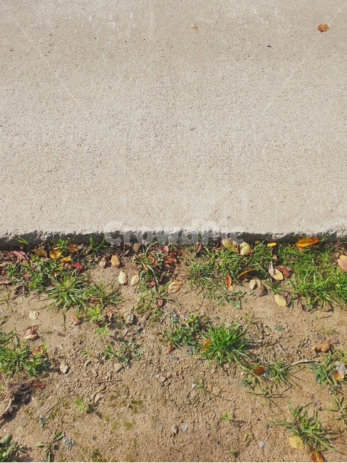 ground,바닥,자연,nature,풀,낙엽,가을,시멘트,반반,배경,초록