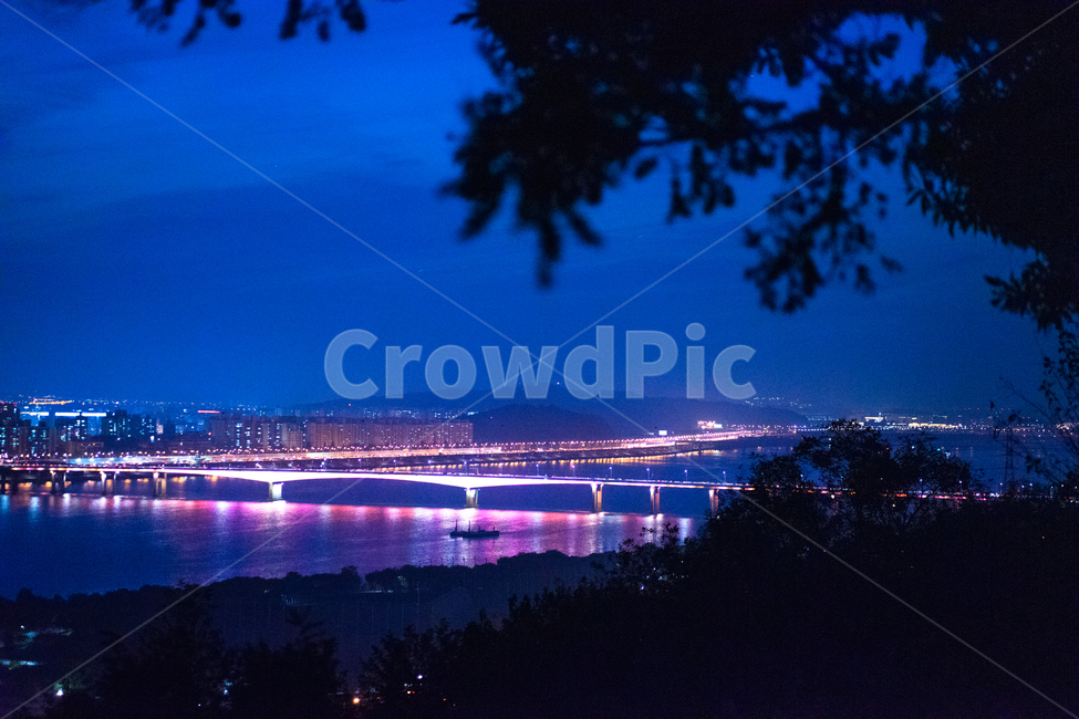 하늘공원,노을,야경,나무,밤하늘,다리,한강,야경,밤,풍경,nightscape,night,landscape,도시,city,한국도시풍경,한국도시경관,korea cityscape,색깔,색상,색채,색감,color sense,color sensitivity,feeling of color