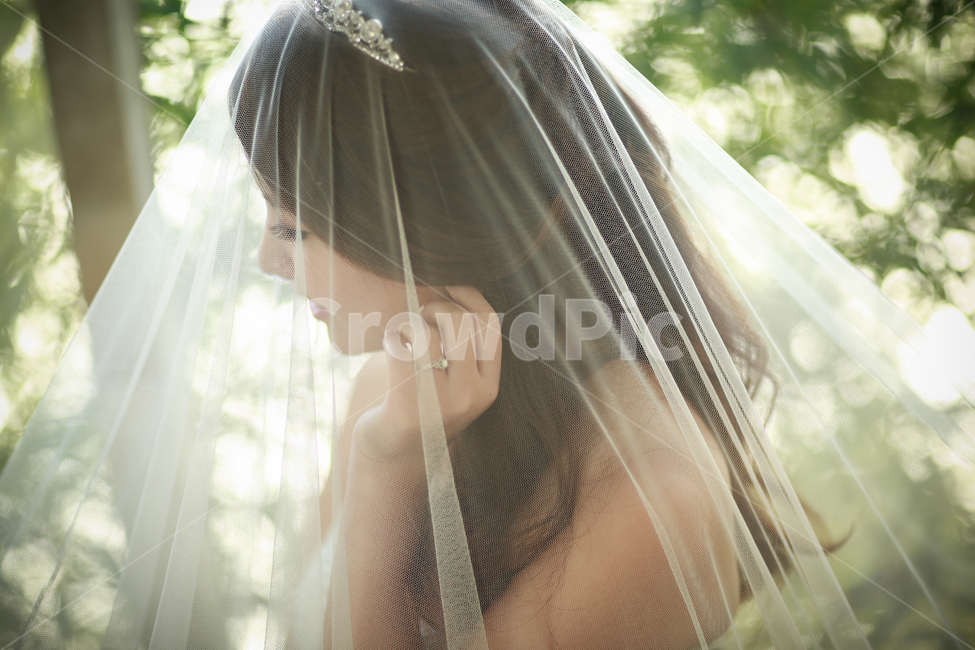 베일,veil,웨딩베일,왕관,웨딩드레스,결혼,사람,인물,인간,human,person,여성,여자,woman,female,lady,결혼,혼례,웨딩,wedding,marriage,marry