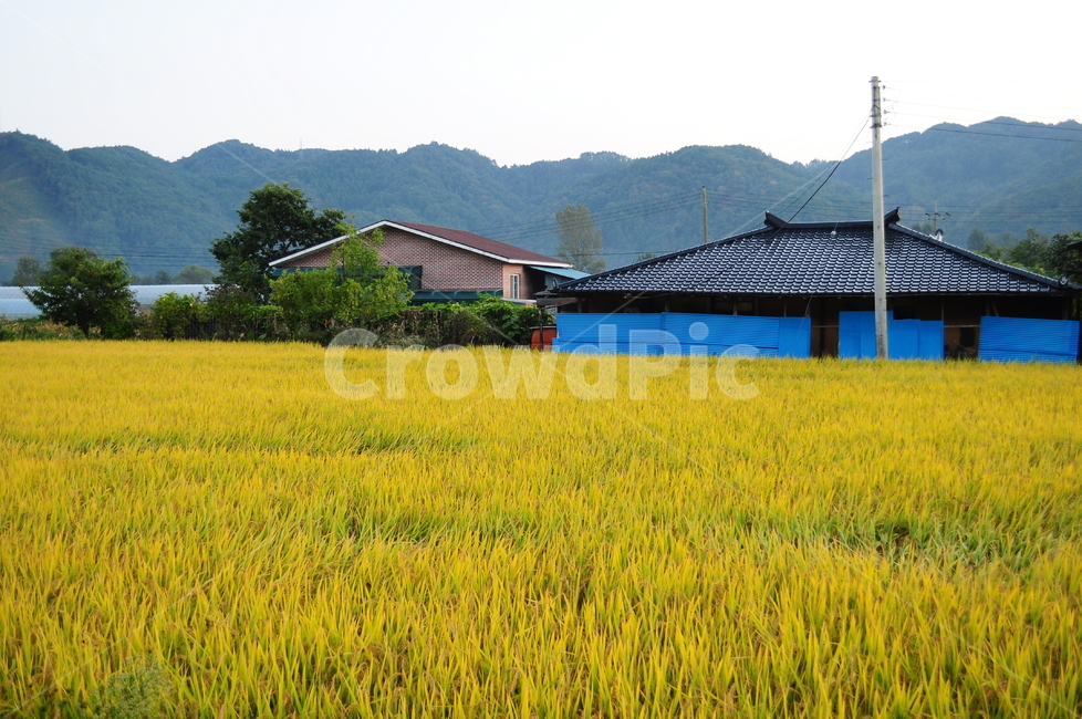 노을,산,밭,전봇대,전신주,시골,시골풍경,풍경,자연,하늘,시골,마을,풍경,landscape,country,rural,town