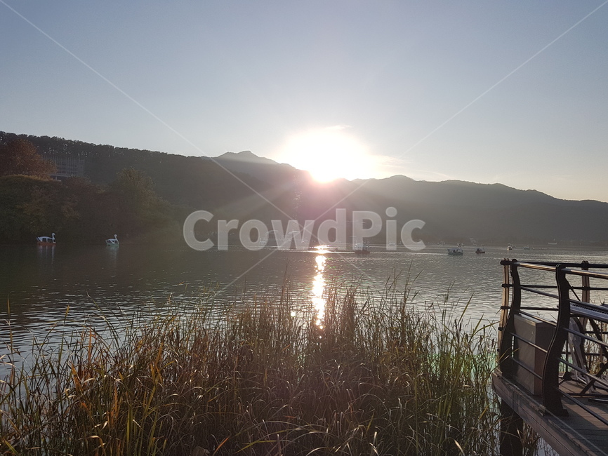 light,flare,플레어,빛,대구,daegu,수성못,강,liver,sunlight,햇빛,자연,갈대,자연,풍경,nature,landscape