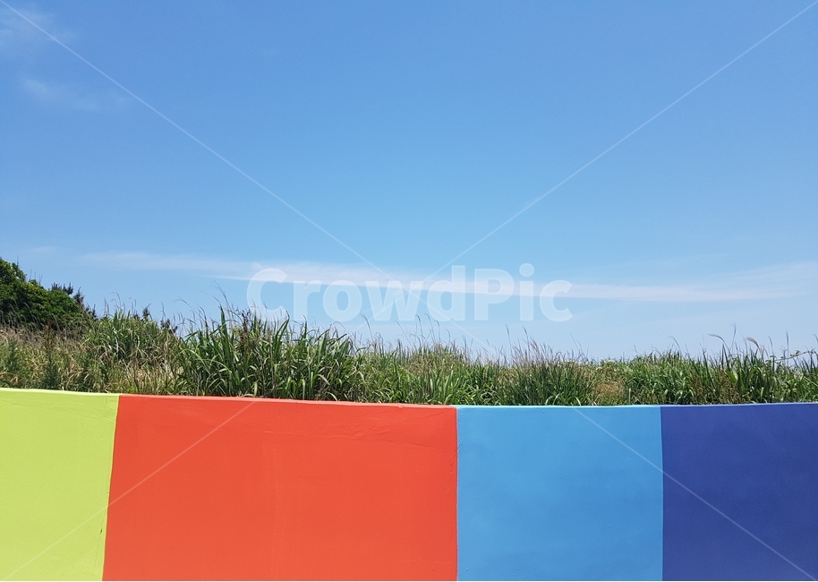 제주도,제주,추자도,하늘,풍경,벽화,색감,힐링,구름,자연,풍경,nature,landscape,감성,sensible,feeling,bush,부시,vegetation,초목,plant,식물