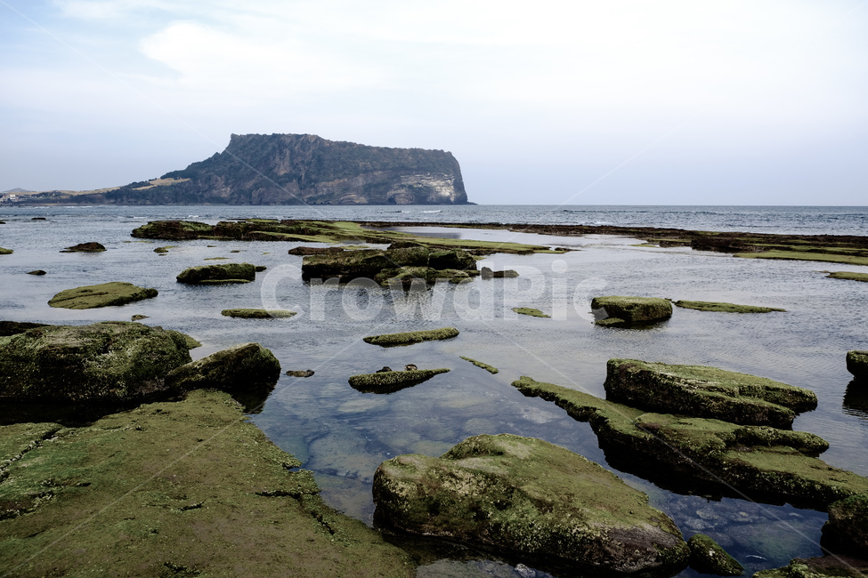 바다,해안,대양,곶,sea,ocean,outdoor