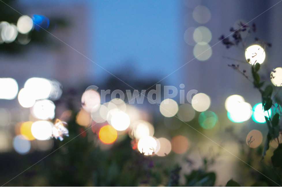 야경,빛,보케,불,풍경,야경,밤,풍경,nightscape,night,landscape,감성,sensible,feeling