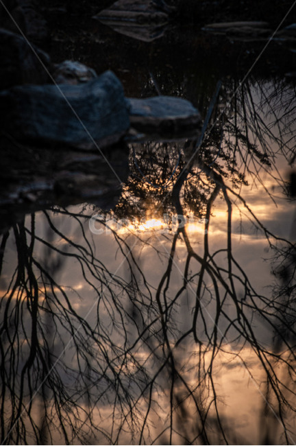 light,빛,nature,자연,반영,노을,sunset