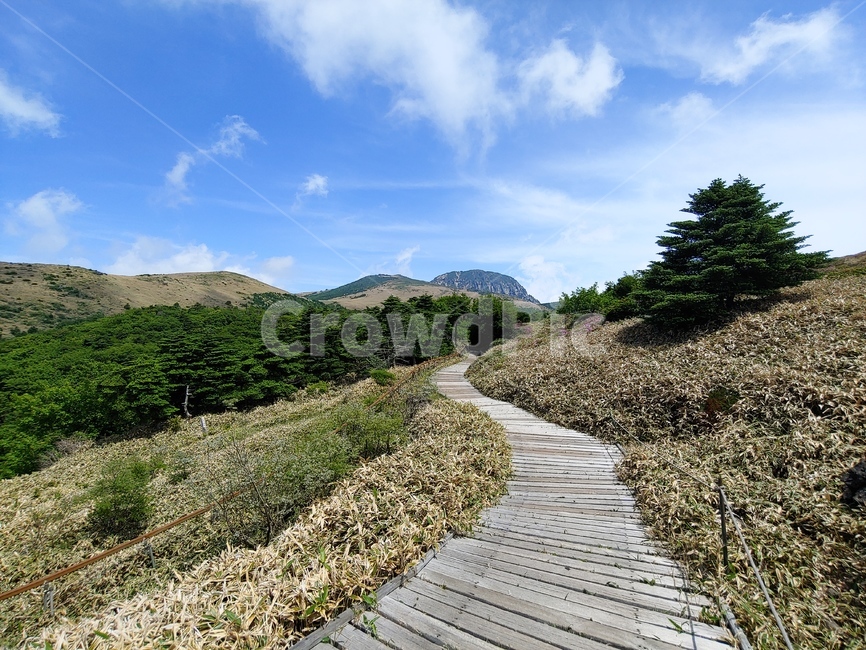 산길,산,하늘,등산로,구름,mountain,sky,clouds,green,초록,한라산,배경,데크,walkway,trail,fense,펜스,sunny,맑은